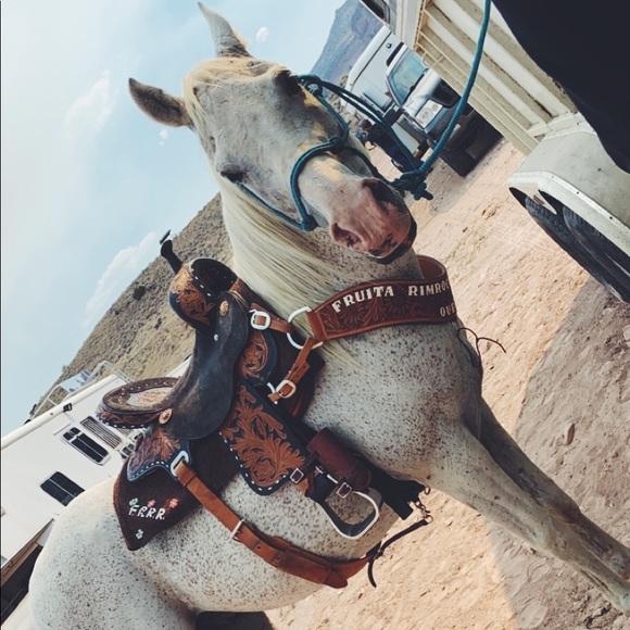 Meet your Posher, Jorden - Picture 2 of 7